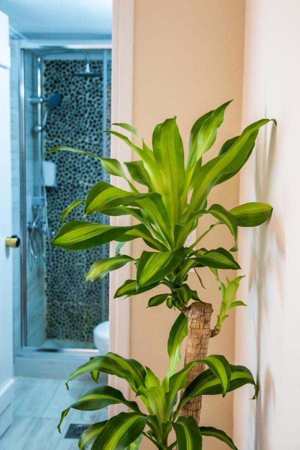 Gorgona Blue Apartments 卡尔帕索斯 外观 照片